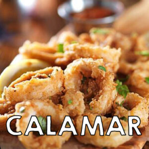 CALAMAR1