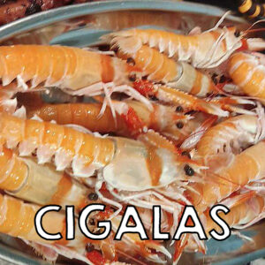 CIGALAS_WEB1