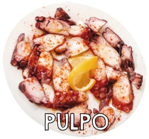 pulpo11
