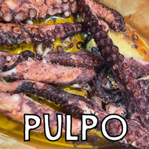 pulpoweb1