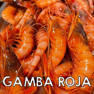 roja_web1