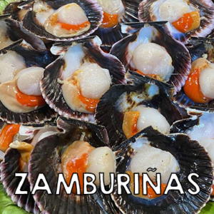 zamburinas1